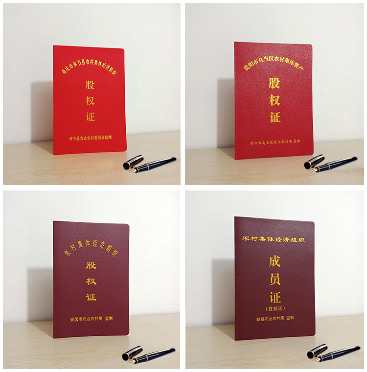 股權(quán)證案例說明