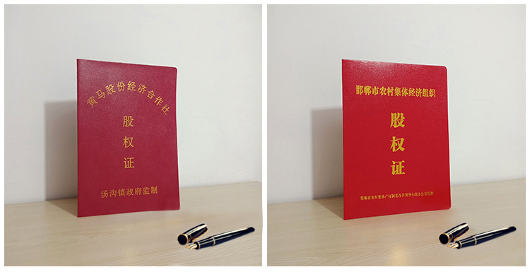 股權(quán)證案例說明