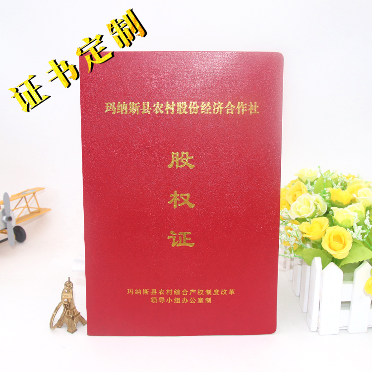 瑪納斯股權(quán)證 拷貝.jpg